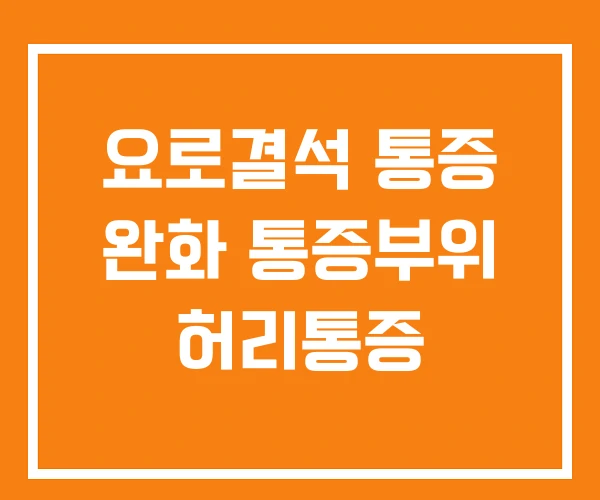 요로결석 통증 완화 통증부위 허리통증