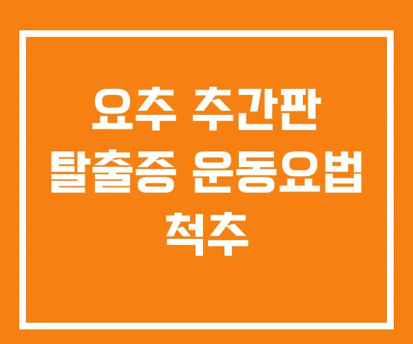 요추 추간판 탈출증 운동요법 척추