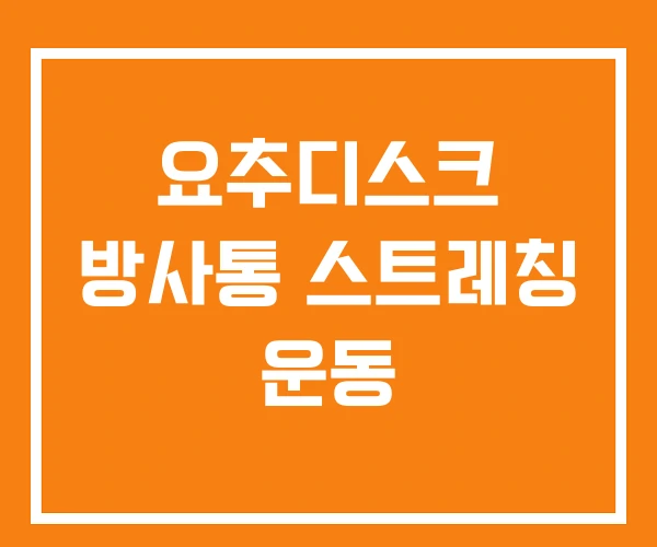 요추디스크 방사통 스트레칭 운동