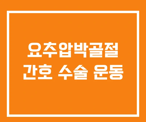 요추압박골절 간호 수술 운동