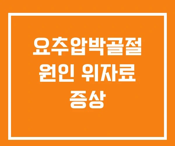 요추압박골절 원인 위자료 증상