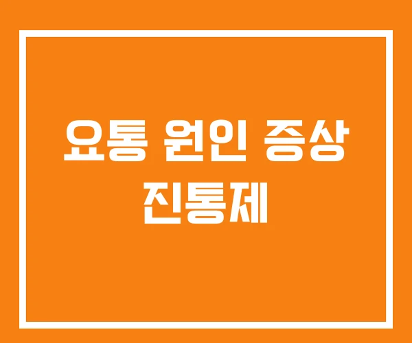 요통 원인 증상 진통제