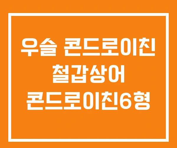 우슬 콘드로이친 철갑상어 콘드로이친6형