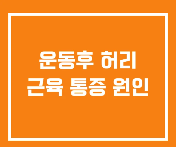운동후 허리 근육 통증 원인