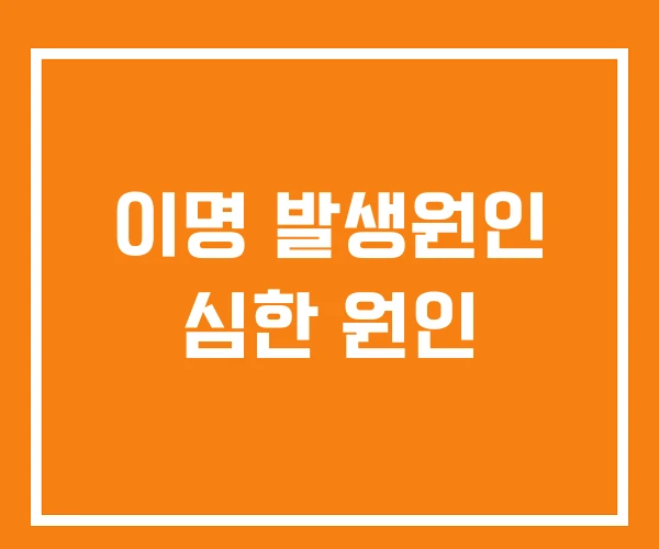 이명 발생원인 심한 원인