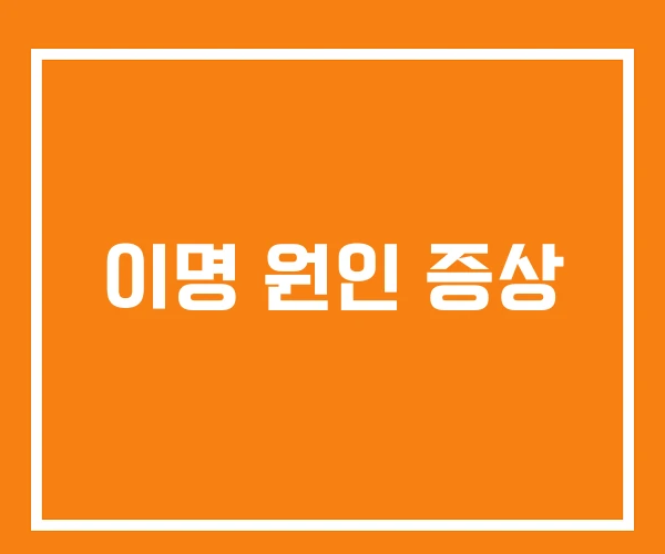 이명 원인 증상