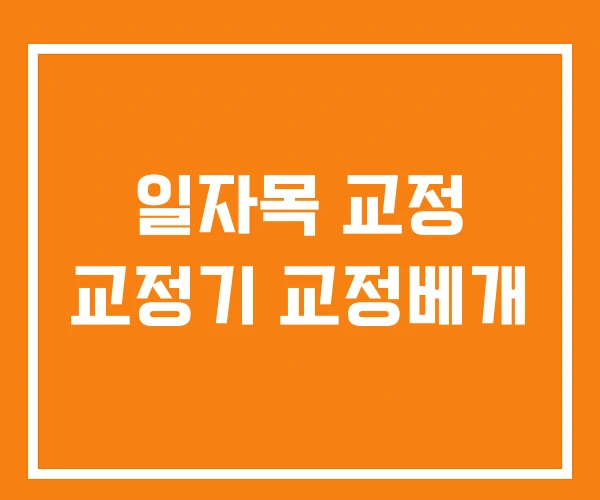 일자목 교정 교정기 교정베개
