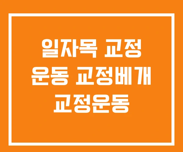 일자목 교정 운동 교정베개 교정운동 일자목 교정 운동 교정베개 교정운동