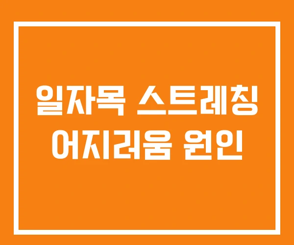 일자목 스트레칭 어지러움 원인