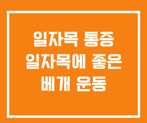일자목 통증 일자목에 좋은 베개 운동