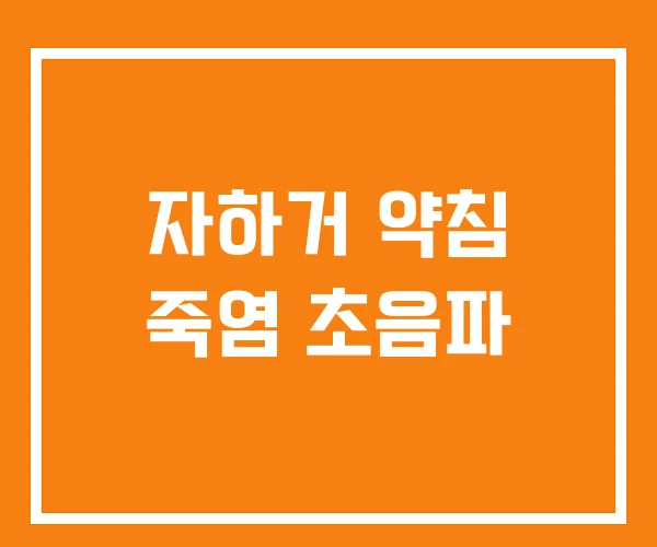 자하거 약침 죽염 초음파 자하거 약침 죽염 초음파