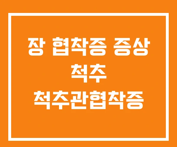 장 협착증 증상 척추 척추관협착증 장 협착증 증상 척추 척추관협착증