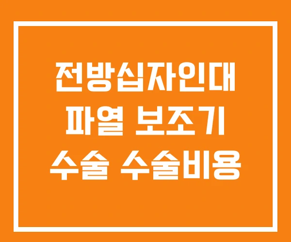 전방십자인대 파열 보조기 수술 수술비용 전방십자인대 파열 보조기 수술 수술비용