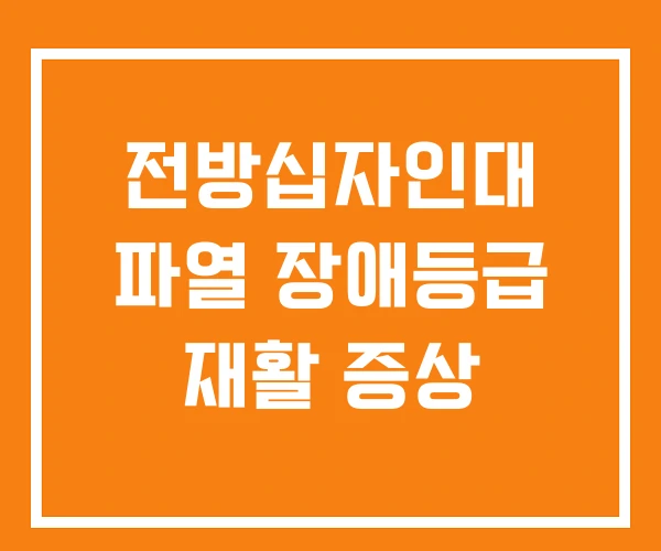 전방십자인대 파열 장애등급 재활 증상 전방십자인대 파열 장애등급 재활 증상