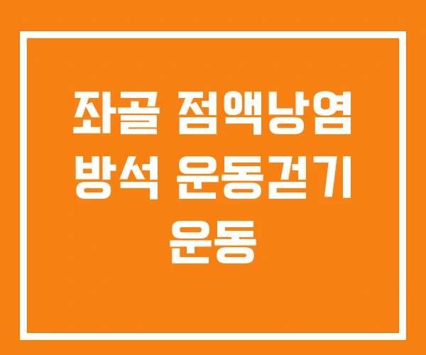 좌골 점액낭염 방석 운동걷기 운동 좌골 점액낭염 방석 운동걷기 운동