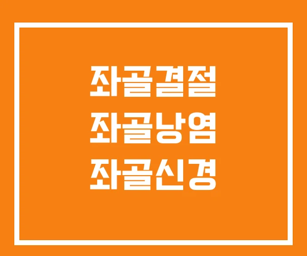 좌골결절 좌골낭염 좌골신경