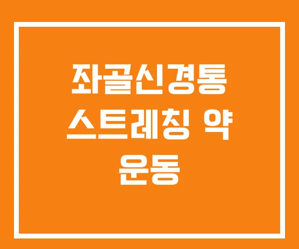 좌골신경통 스트레칭 약 운동