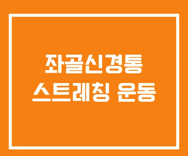 좌골신경통 스트레칭 운동