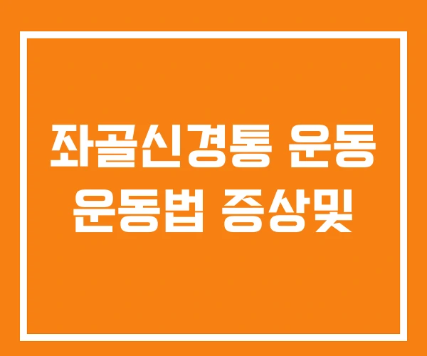 좌골신경통 운동 운동법 증상및 좌골신경통 운동 운동법 증상및