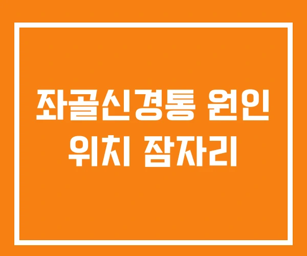 좌골신경통 원인 위치 잠자리