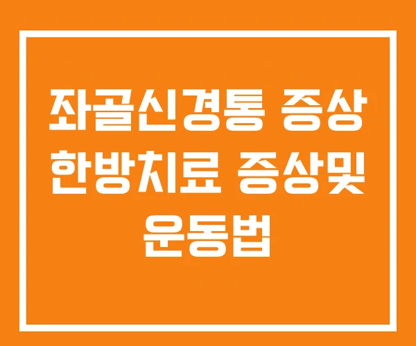 좌골신경통 증상 한방치료 증상및 운동법 좌골신경통 증상 한방치료 증상및 운동법