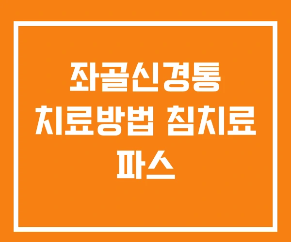 좌골신경통 치료방법 침치료 파스 좌골신경통 치료방법 침치료 파스