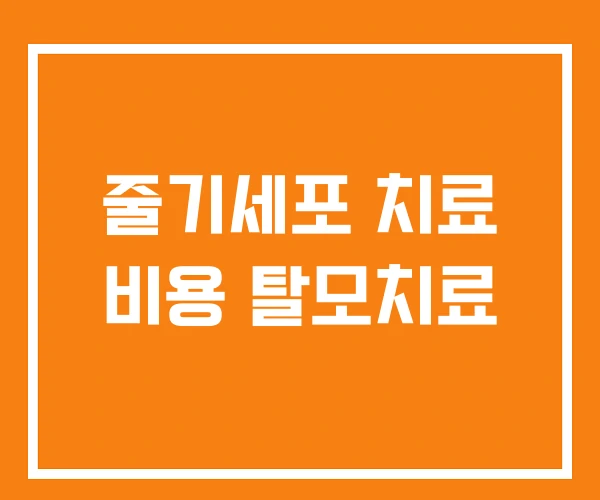 줄기세포 치료 비용 탈모치료