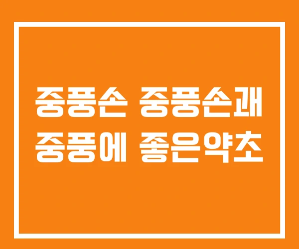 중풍손 중풍손괘 중풍에 좋은약초