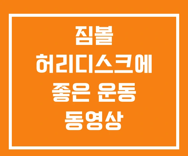 짐볼 허리디스크에 좋은 운동 동영상 짐볼 허리디스크에 좋은 운동 동영상