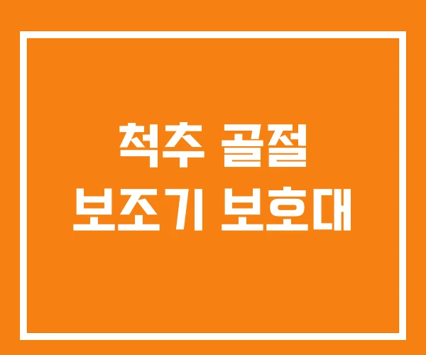 척추 골절 보조기 보호대 척추 골절 보조기 보호대