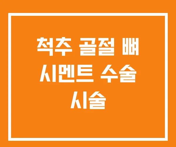 척추 골절 뼈 시멘트 수술 시술