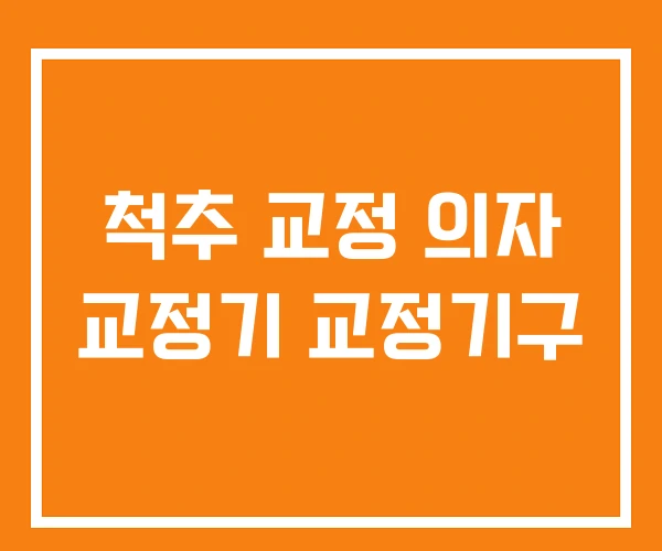 척추 교정 의자 교정기 교정기구 척추 교정 의자 교정기 교정기구