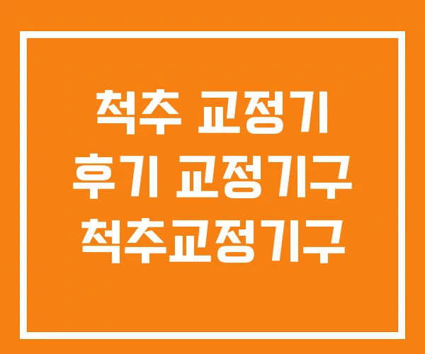 척추 교정기 후기 교정기구 척추교정기구