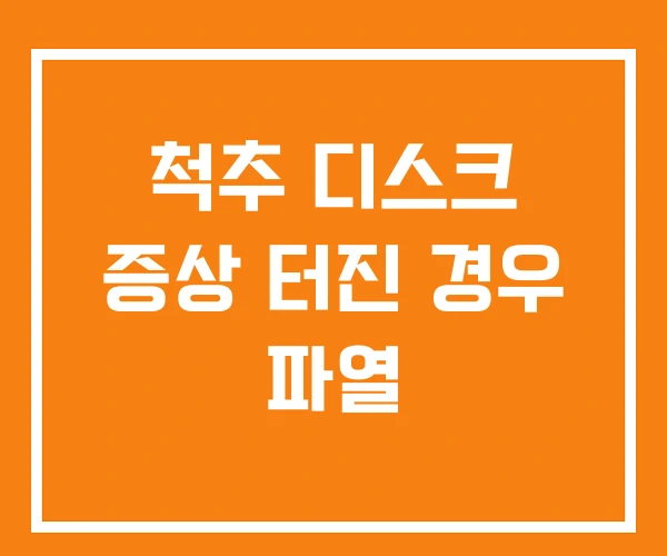 척추 디스크 증상 터진 경우 파열