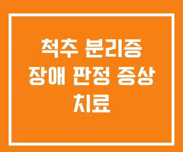 척추 분리증 장애 판정 증상 치료