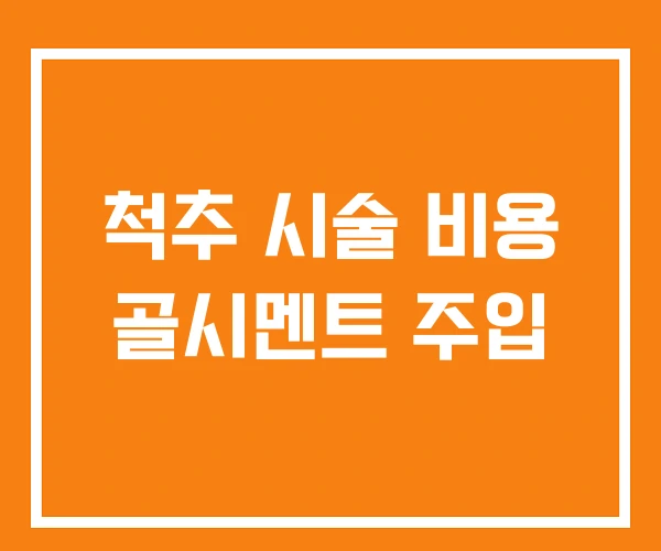 척추 시술 비용 골시멘트 주입 척추 시술 비용 골시멘트 주입