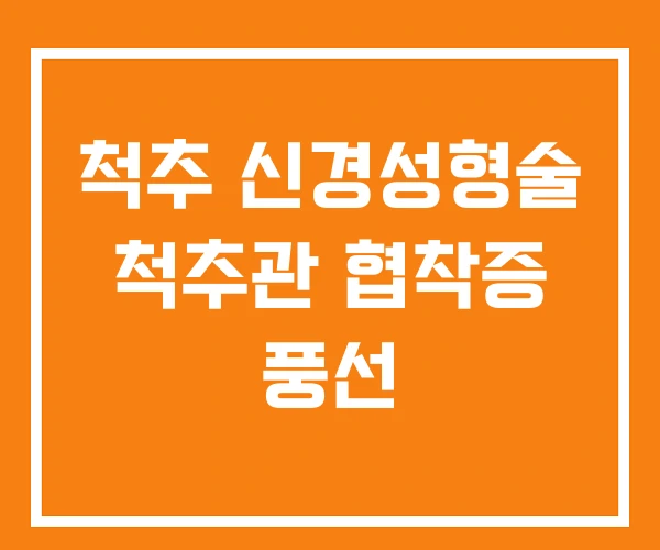 척추 신경성형술 척추관 협착증 풍선