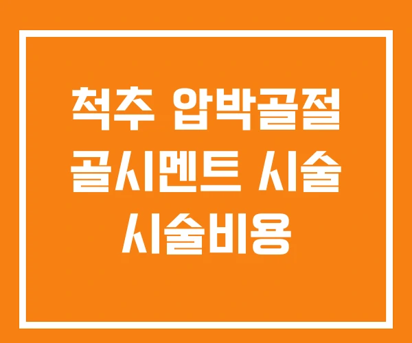 척추 압박골절 골시멘트 시술 시술비용 척추 압박골절 골시멘트 시술 시술비용