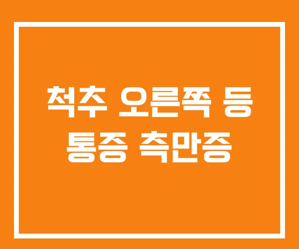척추 오른쪽 등 통증 측만증 척추 오른쪽 등 통증 측만증