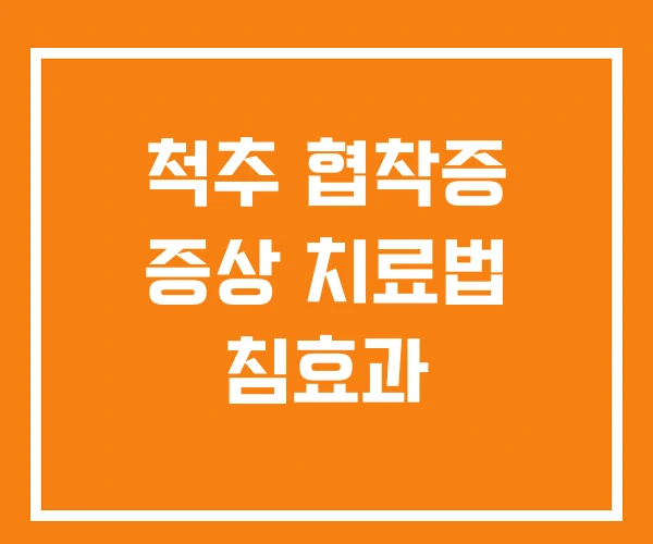 척추 협착증 증상 치료법 침효과 척추 협착증 증상 치료법 침효과