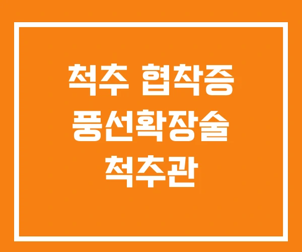 척추 협착증 풍선확장술 척추관