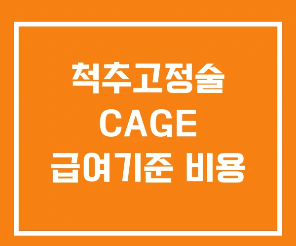 척추고정술 CAGE 급여기준 비용 척추고정술 CAGE 급여기준 비용
