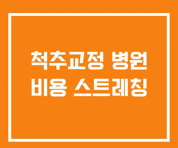 척추교정 병원 비용 스트레칭