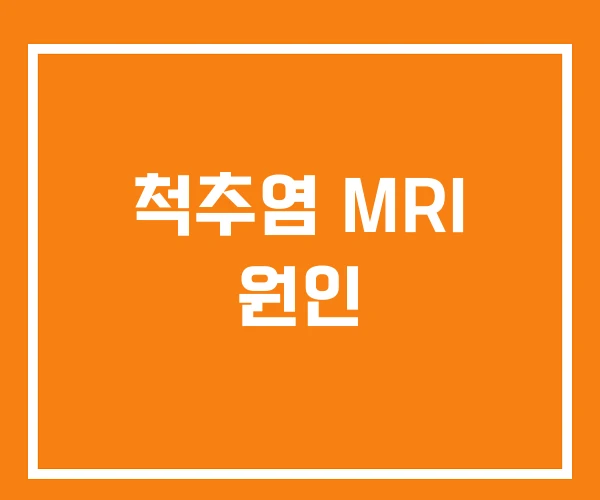 척추염 MRI 원인 척추염 MRI 원인
