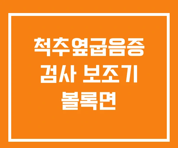 척추옆굽음증 검사 보조기 볼록면 척추옆굽음증 검사 보조기 볼록면
