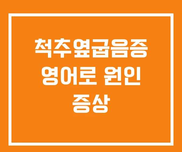 척추옆굽음증 영어로 원인 증상