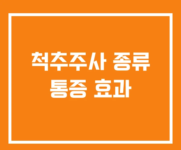 척추주사 종류 통증 효과 척추주사 종류 통증 효과