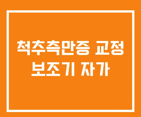 척추측만증 교정 보조기 자가 척추측만증 교정 보조기 자가