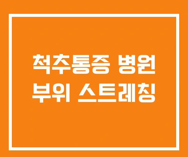 척추통증 병원 부위 스트레칭