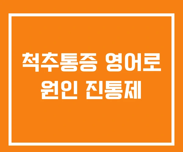 척추통증 영어로 원인 진통제